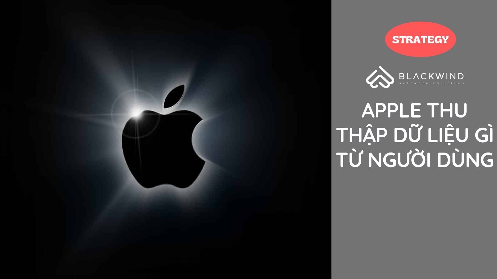 Apple đã thu thập dữ liệu gì từ người dùng