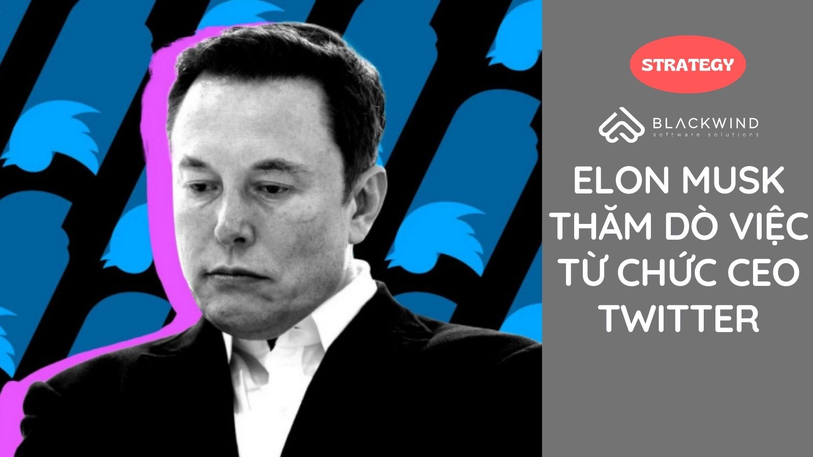 Elon Musk thăm dò việc từ chức CEO Twitter
