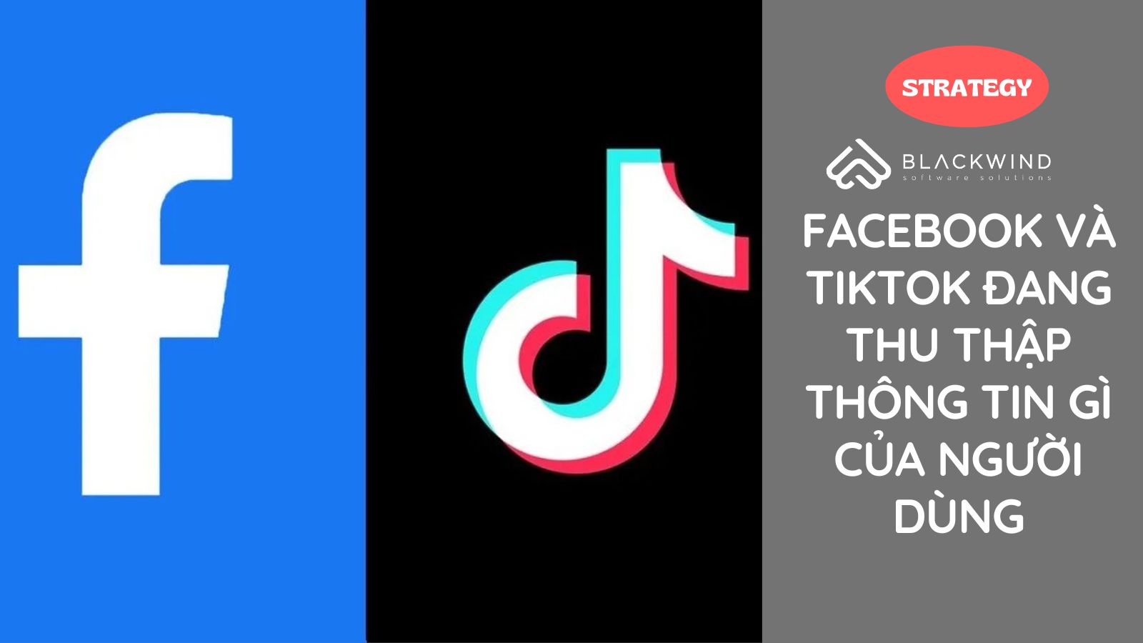Facebook và TikTok đang thu thập thông tin gì của người dùng