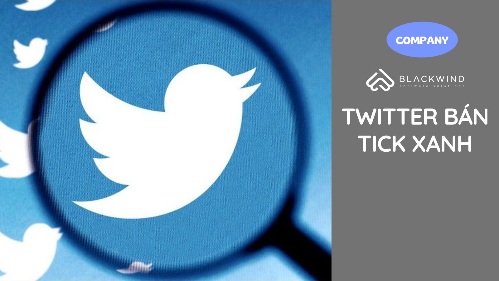 Twitter bán tick xanh