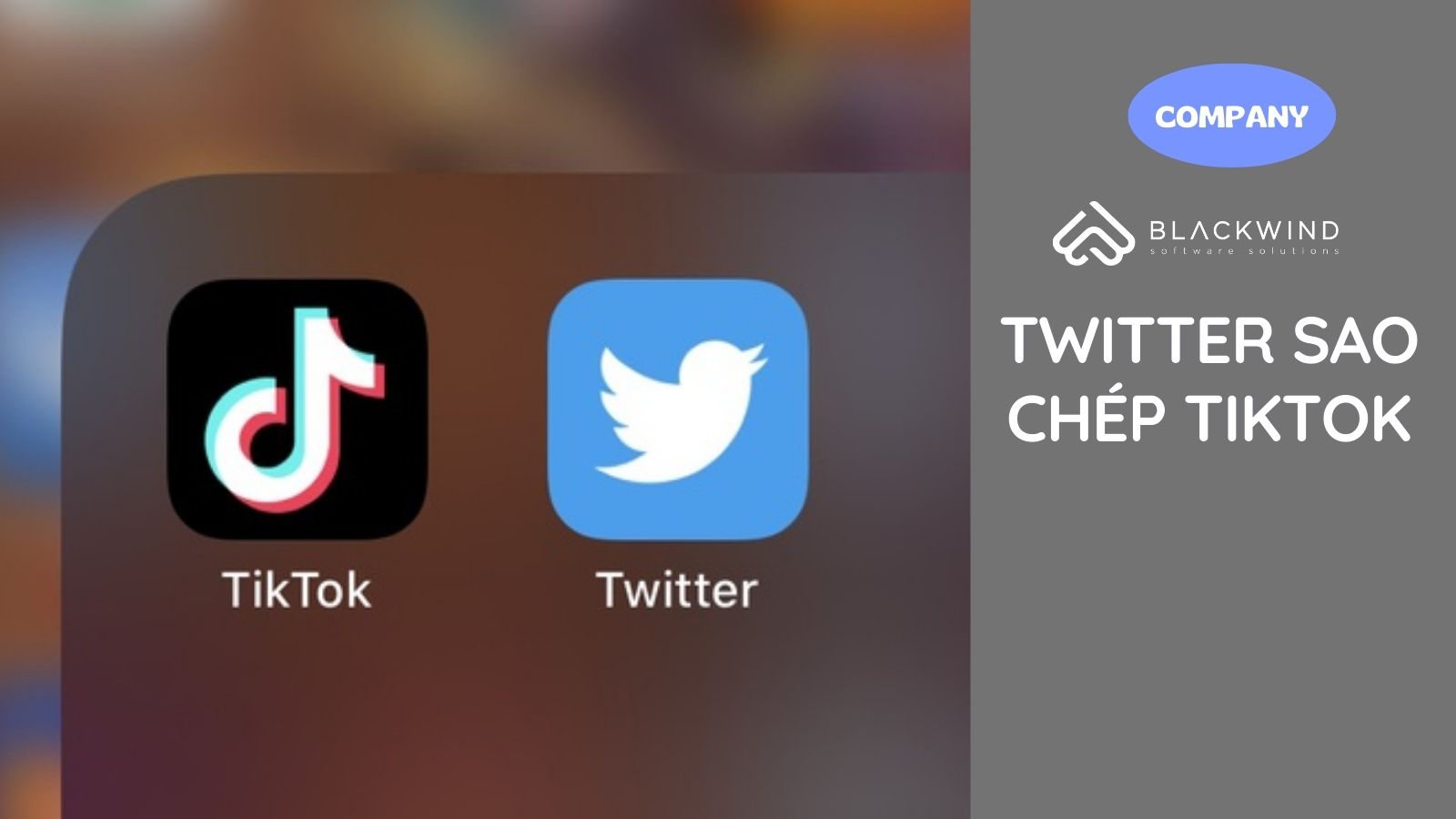 Twitter sao chép TikTok